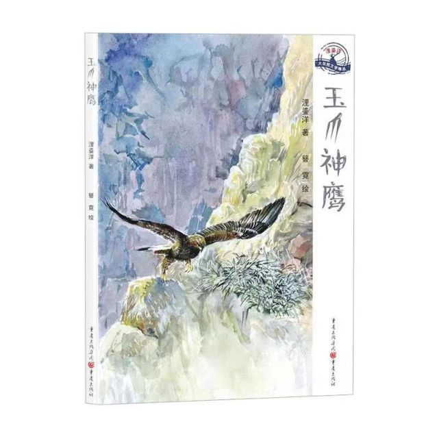 图片