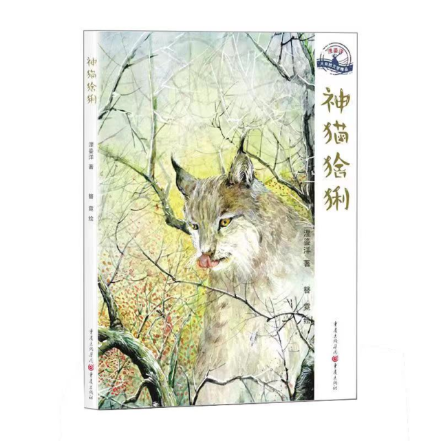 图片