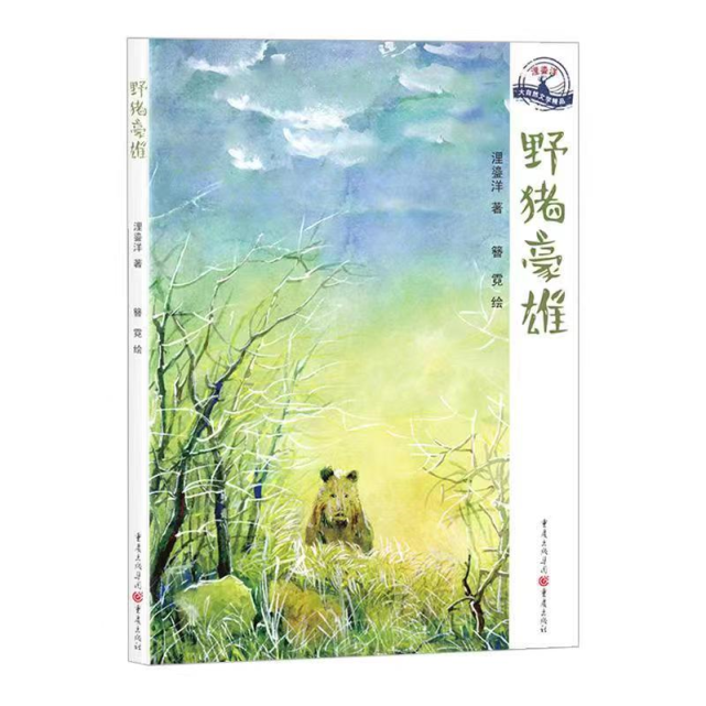 图片